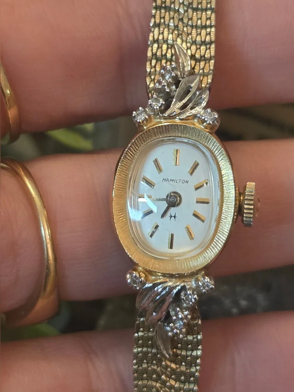 N/A ladies hamilton